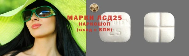 крисы Белоозёрский