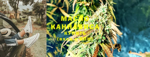 шишки Белокуриха