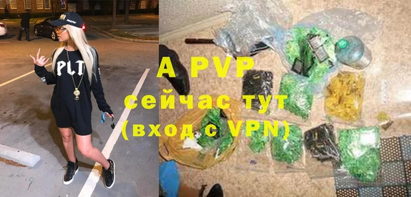 дурь Няндома