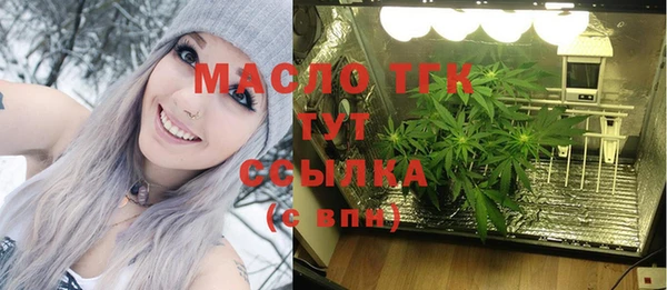 шишки Белокуриха