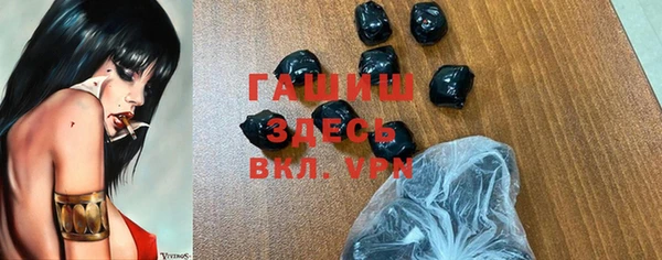 шишки Белокуриха