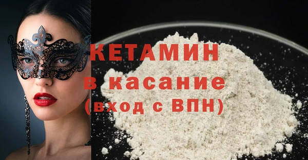 шишки Белокуриха