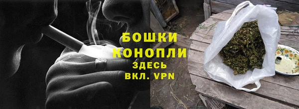 шишки Белокуриха